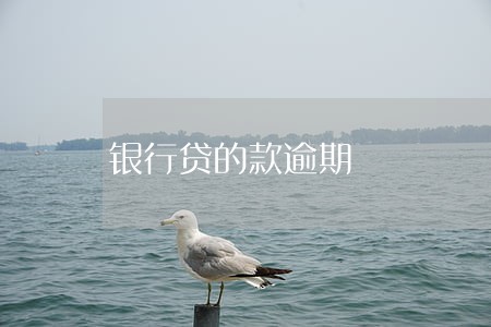 银行贷的款逾期 银行贷的款逾期