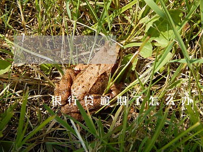 银行贷逾期了怎么办 银行贷逾期了怎么办