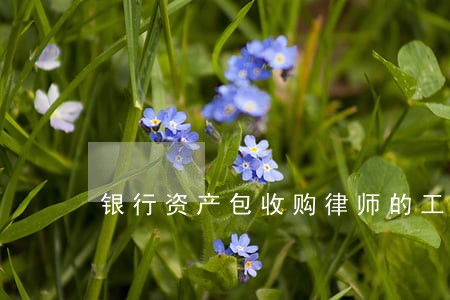 银行资产包收购律师的工作 银行资产包收购律师的工作