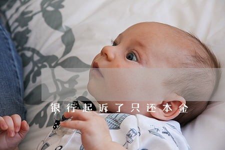 银行起诉了只还本金