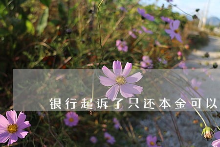 银行起诉了只还本金可以吗 银行起诉了只还本金可以吗