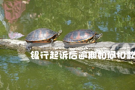 银行起诉后逾期如何扣款