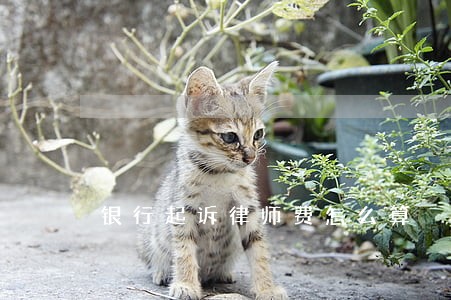 银行起诉律师费怎么算 银行起诉律师费怎么算
