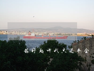 银行起诉我只还本金 银行起诉我只还本金