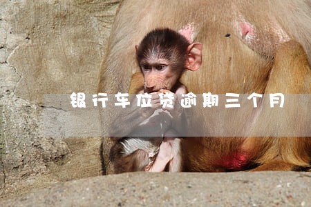 银行车位贷逾期三个月 银行车位贷逾期三个月