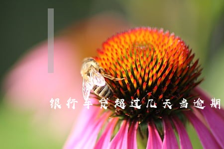 银行车贷超过几天当逾期 银行车贷超过几天当逾期