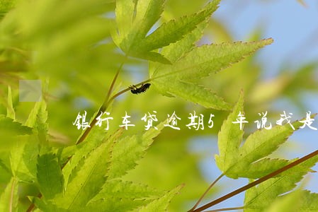 银行车贷逾期5年说我是诈骗 银行车贷逾期5年说我是诈骗