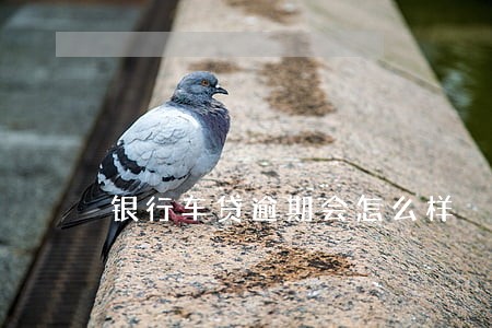 银行车贷逾期会怎么样 银行车贷逾期会怎么样