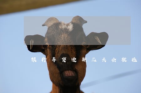 银行车贷逾期几天会被拖车不 银行车贷逾期几天会被拖车不
