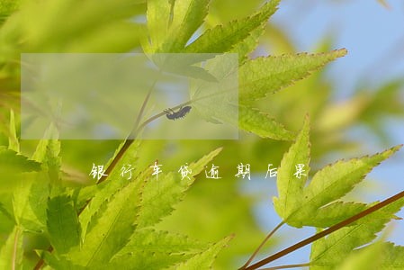 银行车贷逾期后果 银行车贷逾期后果