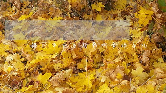 银行车贷逾期影响拿绿本吗 银行车贷逾期影响拿绿本吗