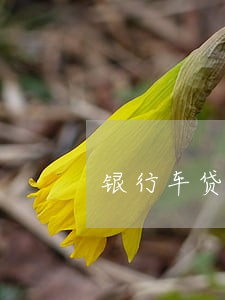 银行车贷逾期未还