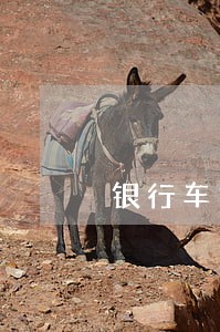 银行车贷逾期率高吗
