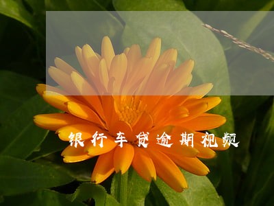 银行车贷逾期视频 银行车贷逾期视频