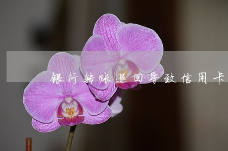 银行转账退回导致信用卡逾期