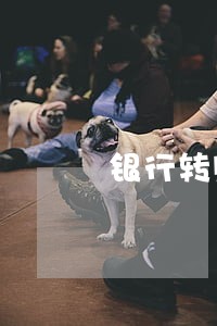 银行转账错了法院判决强制退回 银行转账错了法院判决强制退回