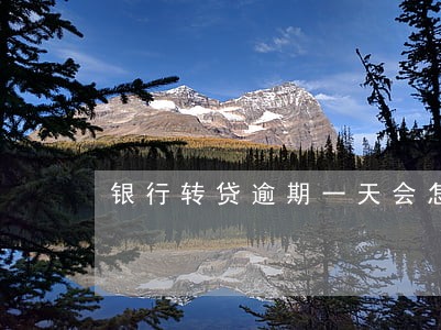 银行转贷逾期一天会怎么样 银行转贷逾期一天会怎么样