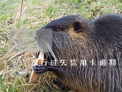 银行过失信用卡逾期 银行过失信用卡逾期