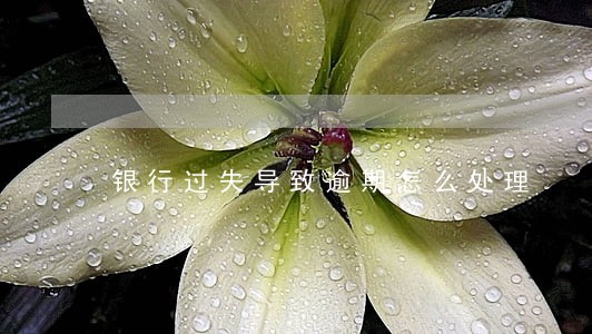 银行过失导致逾期怎么处理 银行过失导致逾期怎么处理