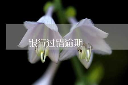 银行过错逾期 银行过错逾期