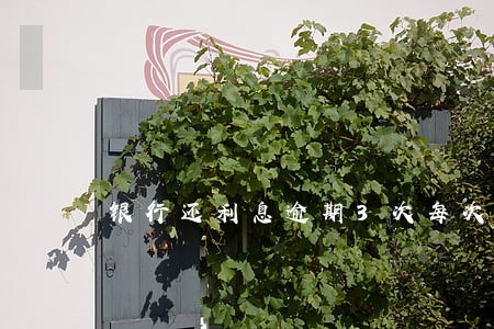 银行还利息逾期3次每次到5天