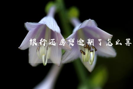 银行还房贷逾期了怎么算利息 银行还房贷逾期了怎么算利息