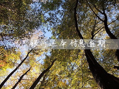 银行还本付息逾期 银行还本付息逾期