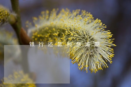 银行还款利息逾期 银行还款利息逾期