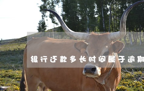 银行还款多长时间属于逾期