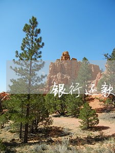 银行还款当天没有扣成功会逾期吗 银行还款当天没有扣成功会逾期吗