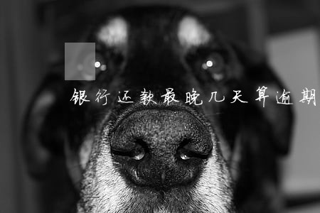 银行还款最晚几天算逾期 银行还款最晚几天算逾期