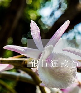 银行还款有逾期还能办公积金吗 银行还款有逾期还能办公积金吗