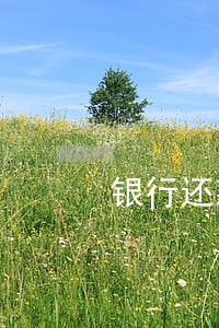 银行还款申请分期算逾期吗 银行还款申请分期算逾期吗