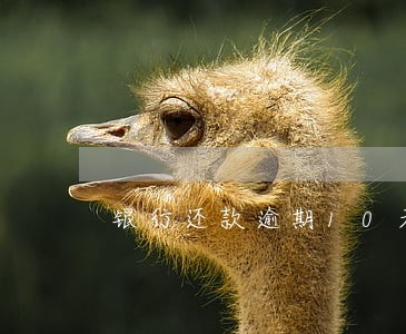 银行还款逾期10天担保人 银行还款逾期10天担保人