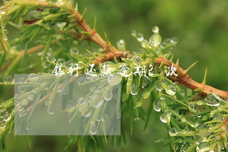 银行还款逾期2次