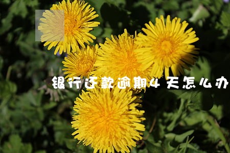 银行还款逾期4天怎么办