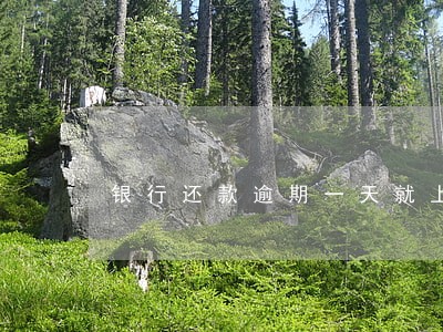 银行还款逾期一天就上征信吗 银行还款逾期一天就上征信吗