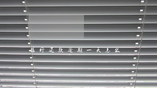 银行还款逾期一天怎么 银行还款逾期一天怎么