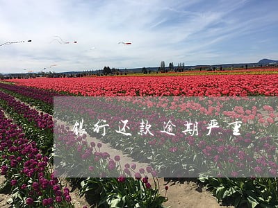 银行还款逾期严重 银行还款逾期严重