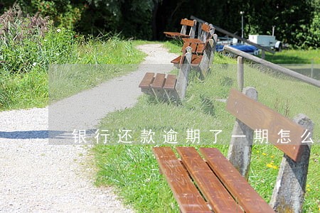 银行还款逾期了一期怎么办 银行还款逾期了一期怎么办