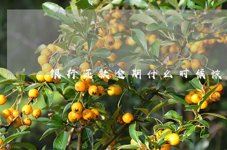 银行还款逾期什么时候恢复 银行还款逾期什么时候恢复