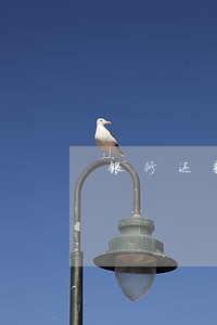 银行还款逾期会被限制多久 银行还款逾期会被限制多久