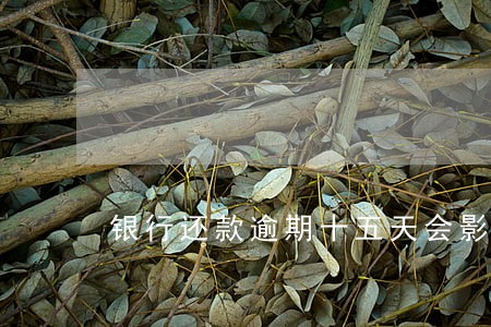 银行还款逾期十五天会影响征信吗 银行还款逾期十五天会影响征信吗