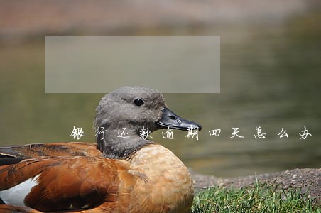 银行还款逾期四天怎么办 银行还款逾期四天怎么办