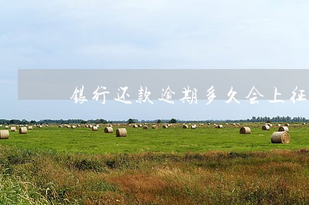 银行还款逾期多久会上征信