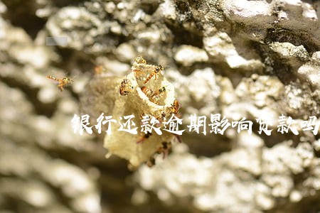 银行还款逾期影响贷款吗 银行还款逾期影响贷款吗