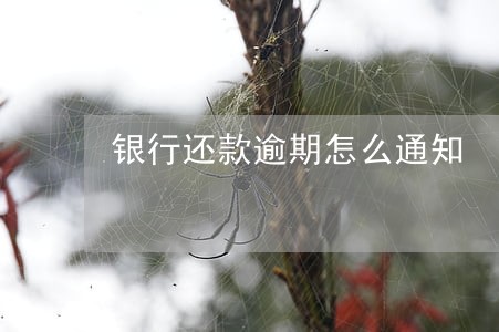 银行还款逾期怎么通知 银行还款逾期怎么通知