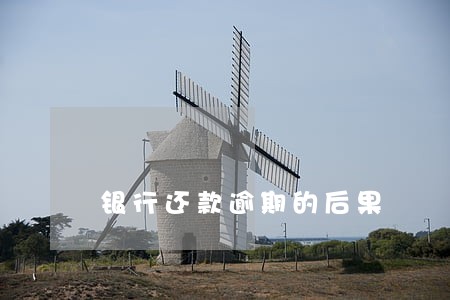 银行还款逾期的后果