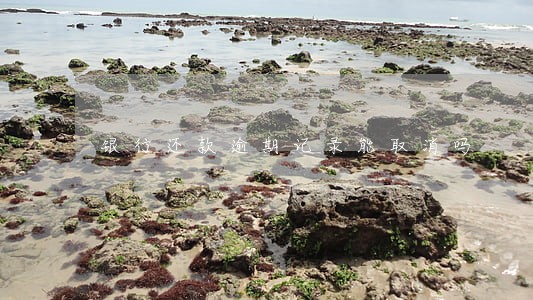 银行还款逾期记录能取消吗 银行还款逾期记录能取消吗