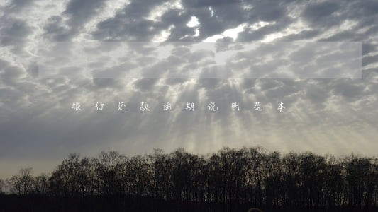 银行还款逾期说明范本 银行还款逾期说明范本
